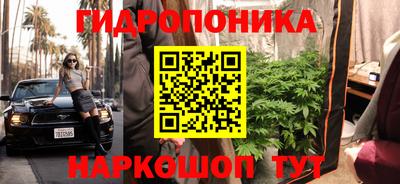 ECSTASY Кимры