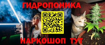 мяу мяу мука Кингисепп