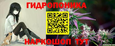 спайс Кинель