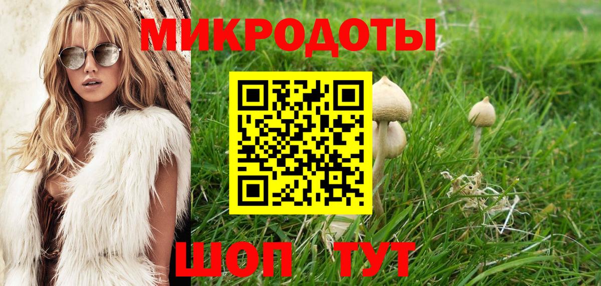 Краснокаменск  Псилоцибиновые грибы MAGIC MUSHROOMS  Галлюциногенные грибы Psilocybe  Вход с VPN 